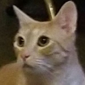 Meet your Posher, Keely